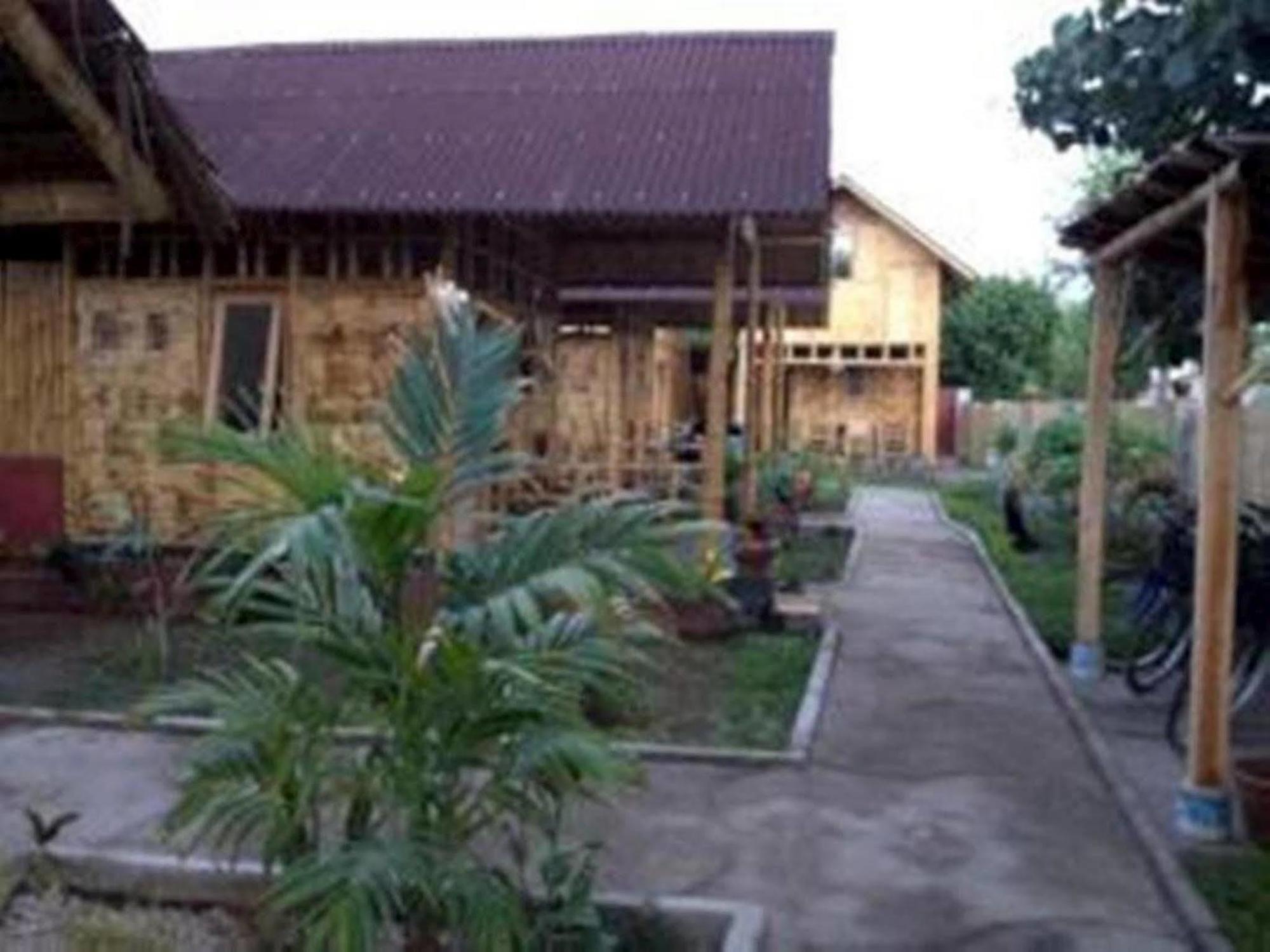 Little Woodstock Homestay Gili Trawangan Eksteriør bilde